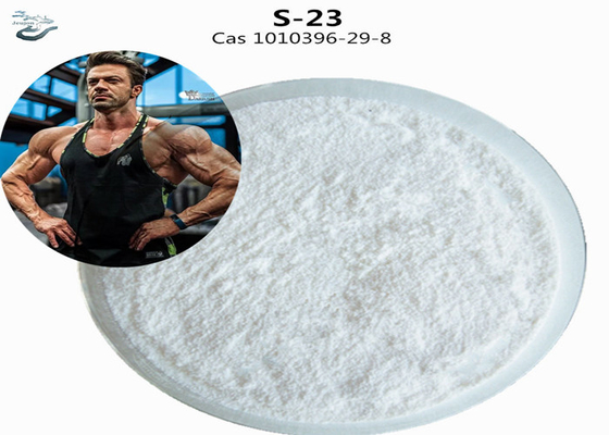 원시 HPLC S23 체육관 파우더 CAS 1010396-29-8 SARM S-23 근육 건설용 보충제