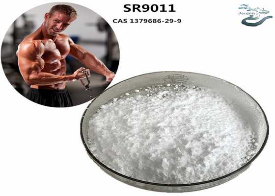 SR9011 SARMS 지방 연소 체육관 파우더 CAS 1379686-29-9 보디빌딩 보충제