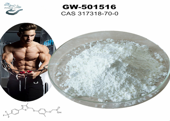 GW 501516 GSK-516 Sarms 체육관 파우더 보디빌딩 CAS 317318-70-0
