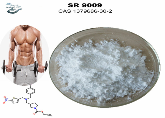 체육관 파우더 SARMS 운동 보충제 스테나볼리 SR-9009 운동 전 CAS 1379686-30-2